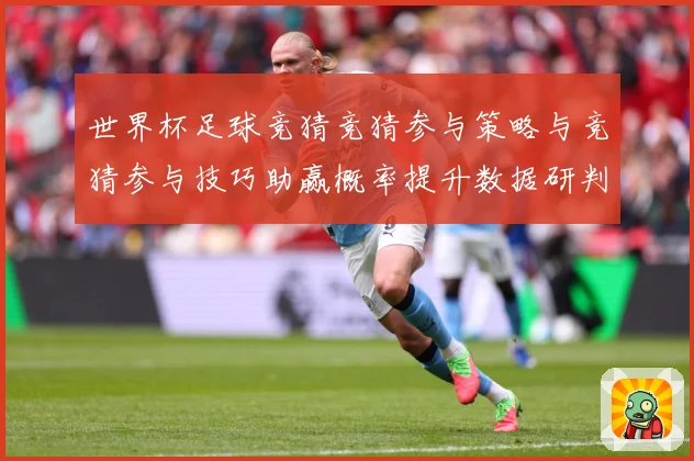 世界杯足球竞猜竞猜参与策略与竞猜参与技巧助赢概率提升数据研判-深度解析