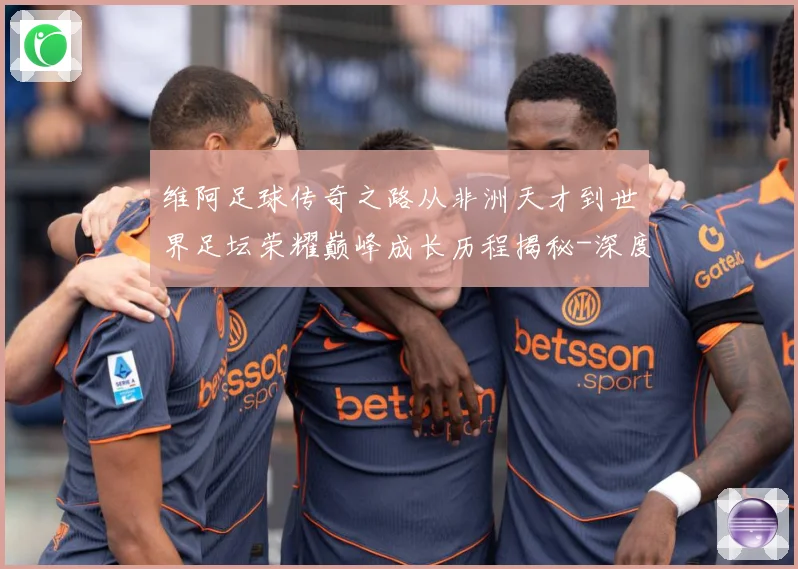 维阿足球传奇之路从非洲天才到世界足坛荣耀巅峰成长历程揭秘-深度解析